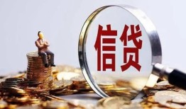 成都私借空放直接上门-成都个人短借-成都私借短借